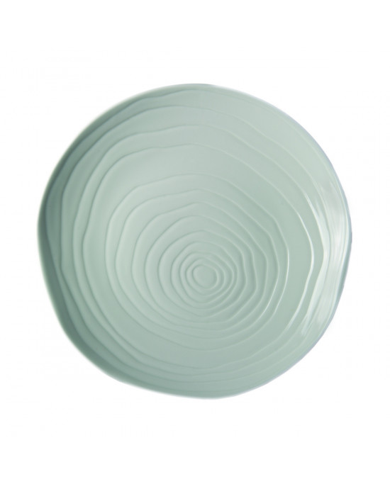 Assiette coupe plate rond blanc porcelaine Ø 28 cm Teck Pillivuyt