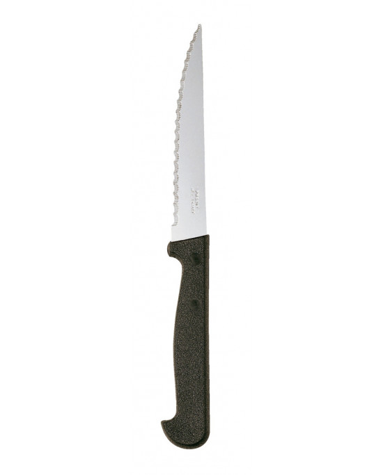 Boîte de 24 couteaux à steak 21 cm  (24 pièces)