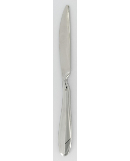 Couteau à dessert ergonomique monobloc cranté 21,5 cm Anzo Eternum