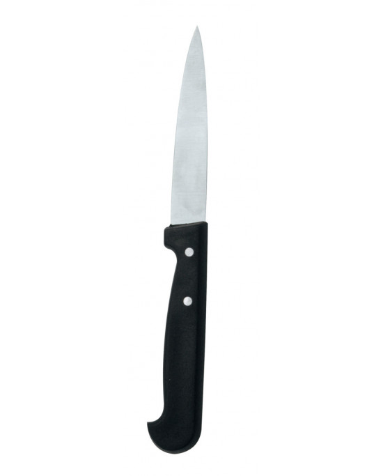 Couteau d'office 10 cm inox plastique microdentée