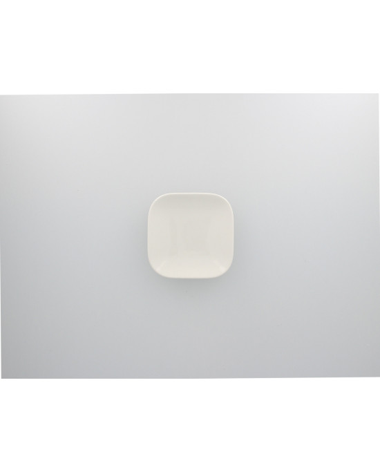 Assiette plate carré ivoire porcelaine 11x11 cm Aurea Rak