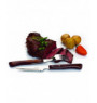 Boîte de 12 couteaux à steak brun 22,2 cm Arcos  (12 pièces)
